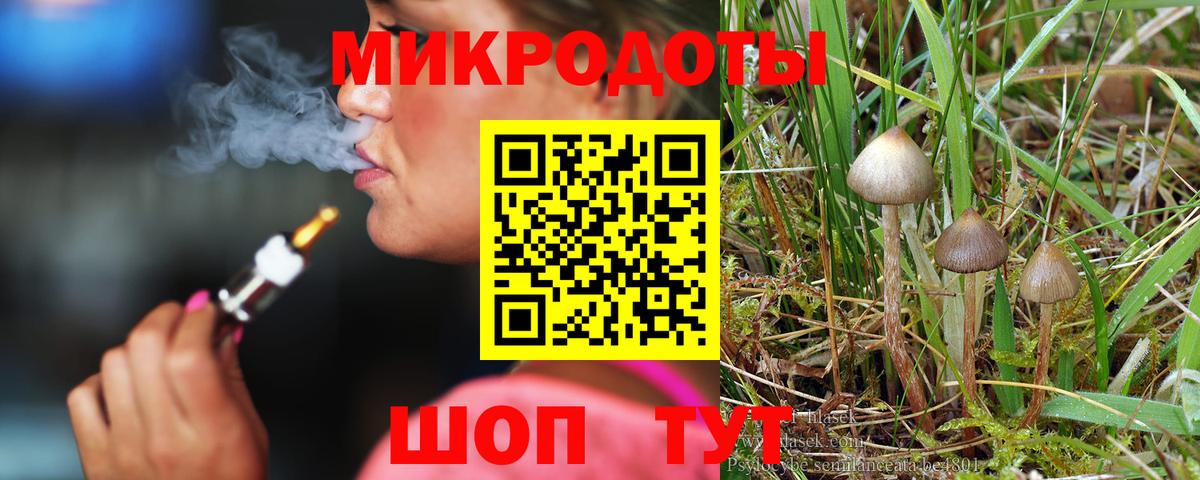 Псилоцибиновые грибы мицелий Солнечногорск
